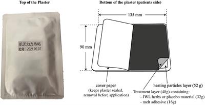 Slower progression of amyotrophic lateral sclerosis with external application of a Chinese herbal plaster–The randomized, placebo-controlled triple-blinded ALS-CHEPLA trial